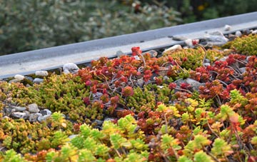 the cost of Homer green roof installation