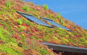 Homer living roof systems