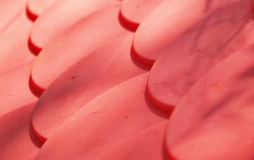 Homer plastic roof costs