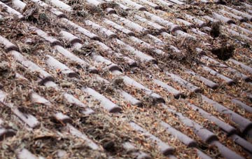 Homer roof cleaning companies